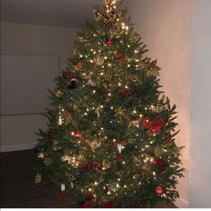 Meet your Posher, Jen